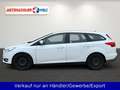 Ford Focus Kombi 1.5 TDCi Klimaautomatik Navi PDC AHK Weiß - thumbnail 7