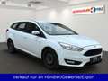 Ford Focus Kombi 1.5 TDCi Klimaautomatik Navi PDC AHK Weiß - thumbnail 3