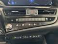 Lexus ES 300 Privilege Line Roof Mark Levinson Rot - thumbnail 26