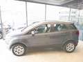 Ford EcoSport 1.0 EcoBoost 125 CV Plus Argento - thumbnail 8