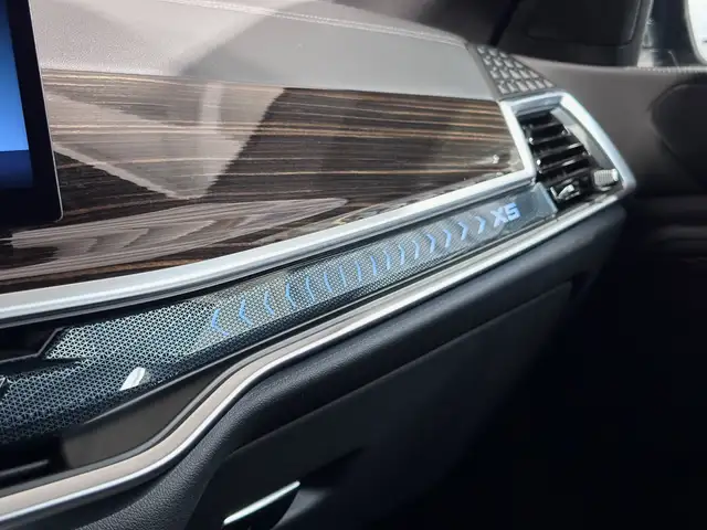 BMW X5 view 20