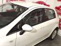 Fiat Punto 1.3Mjt Easy E5+ Blanco - thumbnail 31
