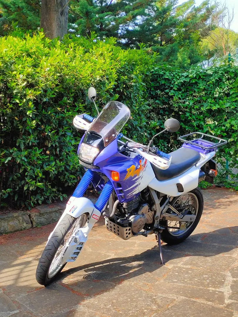 Honda NX 650 Albastru - 1