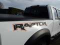 Ford F 150 RAPTOR Wit - thumbnail 5