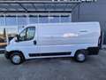 Peugeot Boxer Kasten Diesel  33 L2H1 BHDi 140 Boxer Kas... Weiß - thumbnail 3