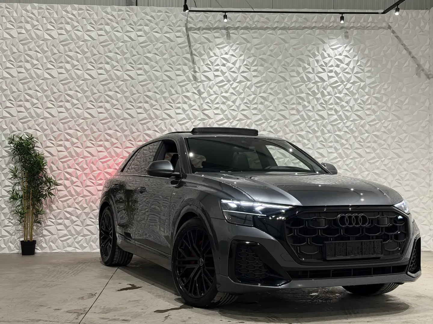 Audi Q8 50 TDI / S-Line / B&O / Head up / 22" Gris - 1