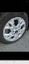 Kia Ceed SW / cee'd SW cee'd SW 1,0 TGDI ISG Team Austria Edition Team Austria Edition Grau - thumbnail 5