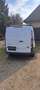 Ford Transit Custom Transit Custom Kast DK L1 270/114 Weiß - thumbnail 6