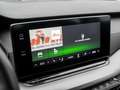 Skoda Octavia Combi 1.5 TSI Ambition DSG GRA PDC SH Grau - thumbnail 7