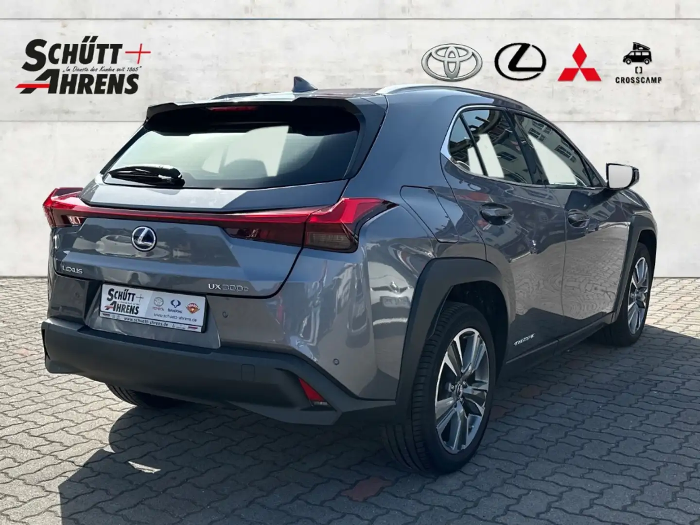 Lexus UX 300e Luxury HUD NAV MatrixLED Leder ACC ASSI Gri - 2