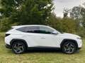 Hyundai TUCSON 1.6 T-GDI PHEV *Navi*ACC*LED*RFKamera* Weiß - thumbnail 8