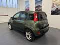 Fiat Panda Panda III  0.9 t natural power Lounge 80cv Verde - thumbnail 5