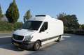 Mercedes-Benz Sprinter 316 2.2 CDI Wit - thumbnail 1