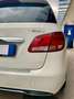 Mercedes-Benz B 200 d Automatic 4Matic Executive gancio traino EURO 6 Bianco - thumbnail 13