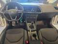 SEAT Leon Leon 1.4 tsi FR Bianco - thumbnail 14
