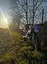 Honda CRF 450 R - thumbnail 6
