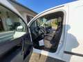 Renault Scenic Kangoo Electrique Alizee Wit - thumbnail 10