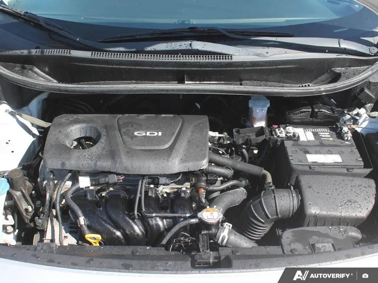 Kia Rio снимка Kia Rio