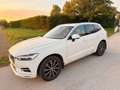 Volvo XC60 XC60 D4 Inscription Geartronic Inscription Weiß - thumbnail 1