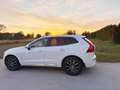 Volvo XC60 XC60 D4 Inscription Geartronic Inscription Weiß - thumbnail 4