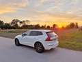Volvo XC60 XC60 D4 Inscription Geartronic Inscription Weiß - thumbnail 3