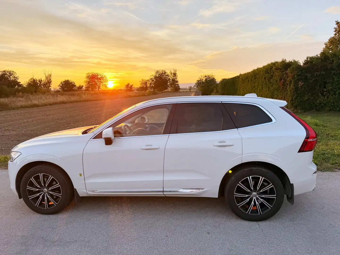 Volvo XC60 XC60 D4 Inscription Geartronic Inscription Weiß - 2