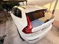 Volvo XC60 XC60 D4 Inscription Geartronic Inscription Weiß - thumbnail 29