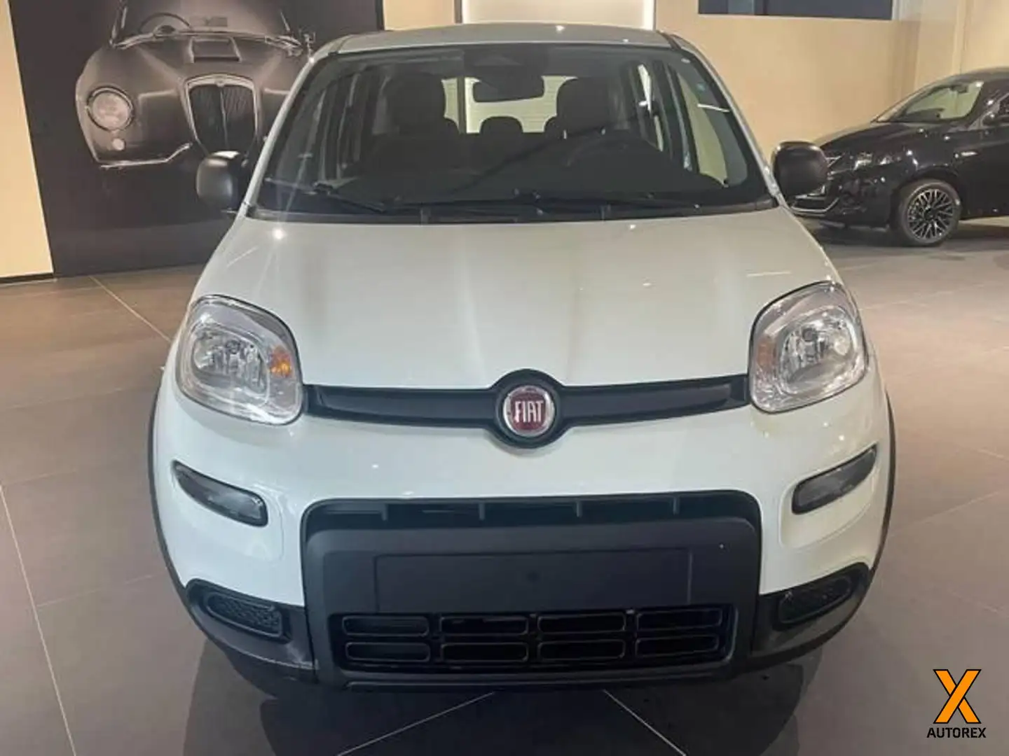Fiat Panda 1.0 FireFly S&S Hybrid Bianco - 2
