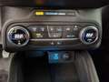 Ford Focus 1.0 Hybrid 125 CV 5p. Active Blu/Azzurro - thumbnail 17