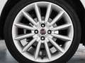 Fiat Punto Evo 1.4 Sport S&S Blanco - thumbnail 29