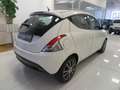 Lancia Ypsilon 1.2 8v Elefantino 69cv "Solo 77.000 Km!!!" Blanc - thumbnail 4