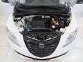 Lancia Ypsilon 1.2 8v Elefantino 69cv "Solo 77.000 Km!!!" Blanc - thumbnail 15