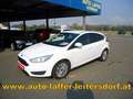 Ford Focus Trend**KLIMA**1.Bes**TOP** Wit - thumbnail 1