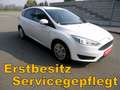 Ford Focus Trend**KLIMA**1.Bes**TOP** Wit - thumbnail 3