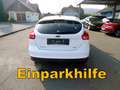 Ford Focus Trend**KLIMA**1.Bes**TOP** Wit - thumbnail 5
