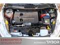 Ford Fiesta 1.6 TDCi Titanium Klimaaut. SHZ LM BT Weiß - thumbnail 13