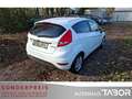 Ford Fiesta 1.6 TDCi Titanium Klimaaut. SHZ LM BT Weiß - thumbnail 3