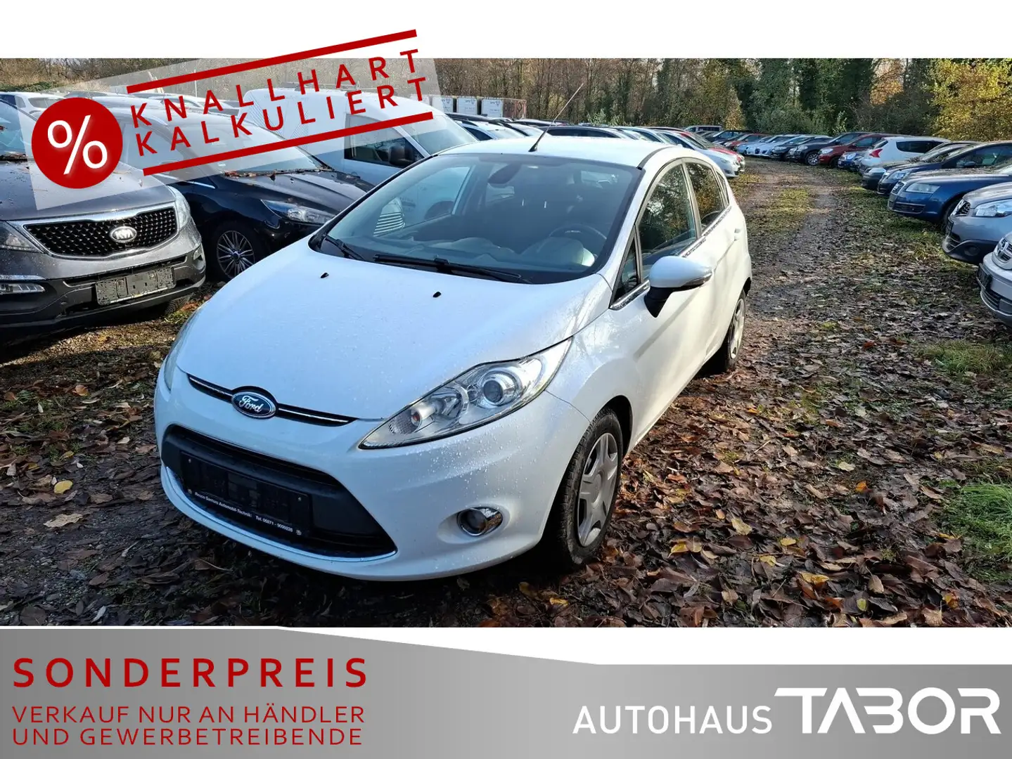 Ford Fiesta 1.6 TDCi Titanium Klimaaut. SHZ LM BT Weiß - 1
