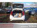 Ford Fiesta 1.6 TDCi Titanium Klimaaut. SHZ LM BT Weiß - thumbnail 10