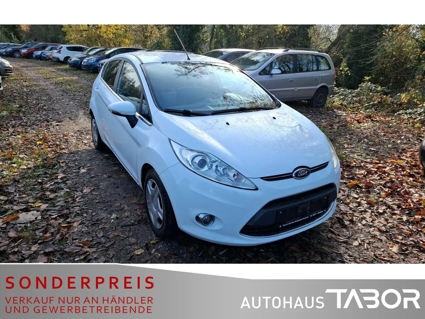 Ford Fiesta 1.6 TDCi Titanium Klimaaut. SHZ LM BT Weiß - 2