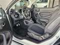 smart forTwo Fortwo Cabrio 1.0 Passion 71cv twinamic Bianco - thumbnail 9