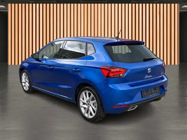 Seat Ibiza view 11