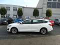 Ford Focus Turnier 1.5EB-120Ps*Navi*LED*1HAND*EURO6 Weiß - thumbnail 8