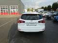 Ford Focus Turnier 1.5EB-120Ps*Navi*LED*1HAND*EURO6 Weiß - thumbnail 7