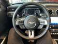 Ford Mustang GT Cabrio CS 5,0l 449PS Schalter Schwarz - thumbnail 13