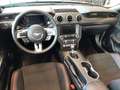Ford Mustang GT Cabrio CS 5,0l 449PS Schalter Schwarz - thumbnail 12