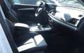 Audi Q5 55TFSIe quattro S tronic S line e-tron CEE Op Blanc - thumbnail 4