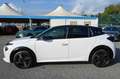 Lancia Ypsilon 1.2 Hybrid LX 100cv Bianco - thumbnail 8