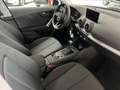 Audi Q2 30 TFSI  Basis Proline Climatronic Alu SHZ LAGER Noir - thumbnail 16