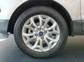 Ford EcoSport 1.5 tdci Plus 95cv E6 Argento - thumbnail 8
